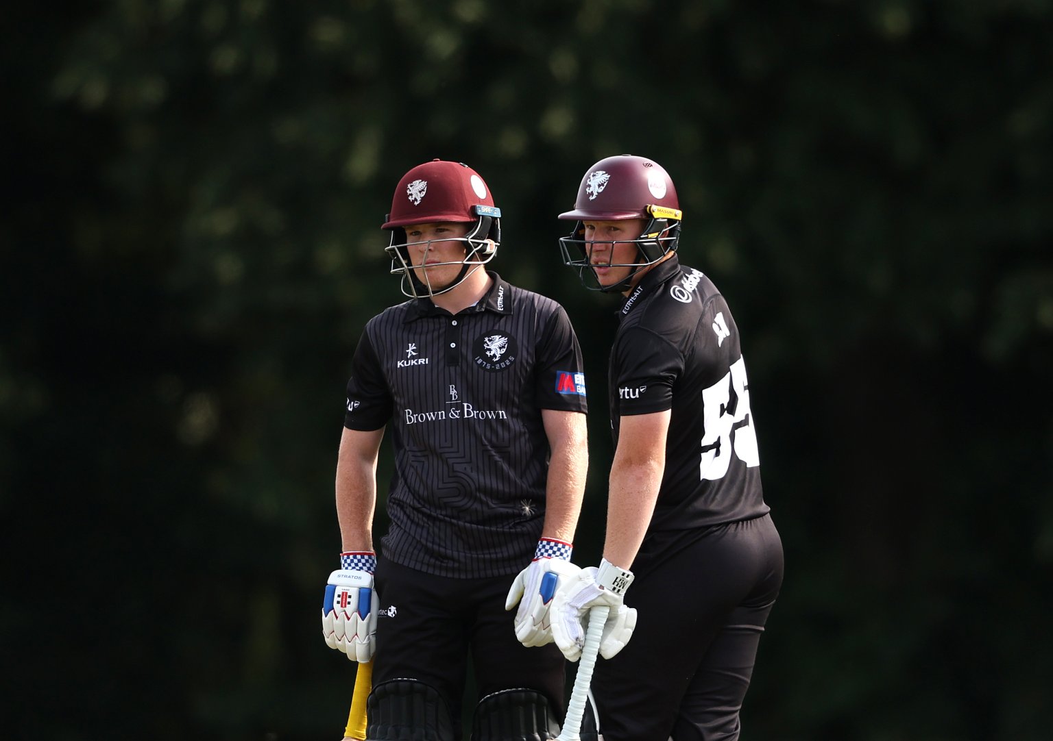 Sam Dalling The Rew Brothers: An Appreciation by Sam Dalling - Somerset